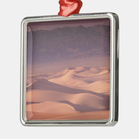 Asien, Mongolei, Gobi-Wüste, Gobi Gurvansaikhan Silbernes Ornament (Links)