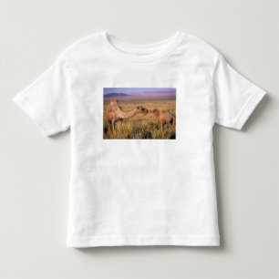 Asien, Mongolei, Gobi-Wüste, Große Gobi Kleinkind T-shirt