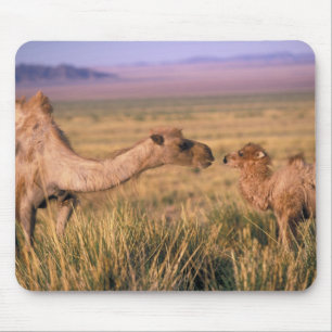 Asien, Mongolei, Gobi-Wüste, Große Gobi Mousepad