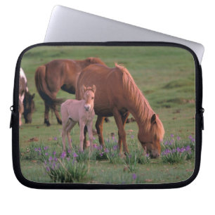 Asien, Mongolei, Gobi-Wüste. Wilde Pferde Laptopschutzhülle