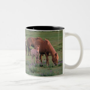 Asien, Mongolei, Gobi-Wüste. Wilde Pferde Zweifarbige Tasse