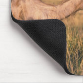 Asien, Mongolei, Wüste Gobi, Großer Gobi Mousepad (Ecke)