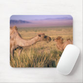 Asien, Mongolei, Wüste Gobi, Großer Gobi Mousepad (Mit Mouse)