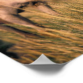 Asien, Mongolei, Wüste Gobi, Großer Gobi Poster (Ecke)