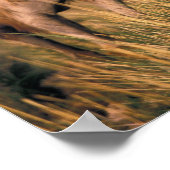 Asien, Mongolei, Wüste Gobi, Großer Gobi Poster (Ecke)