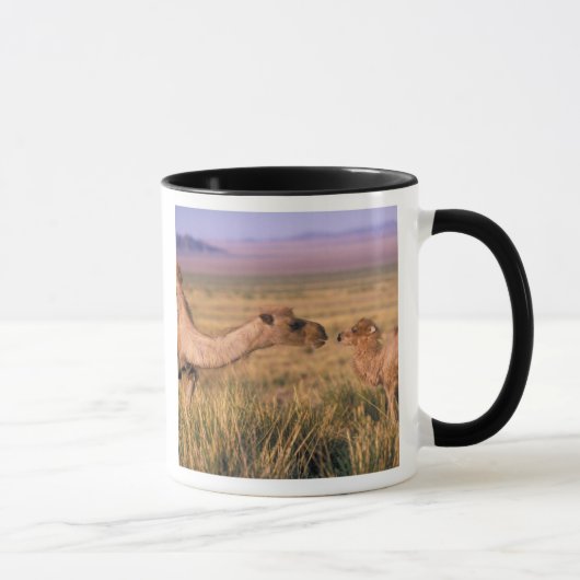 Asien, Mongolei, Wüste Gobi, Großer Gobi Tasse (Rechts)