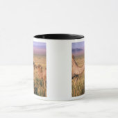 Asien, Mongolei, Wüste Gobi, Großer Gobi Tasse (Zentrum)