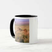 Asien, Mongolei, Wüste Gobi, Großer Gobi Tasse (Vorderseite Links)