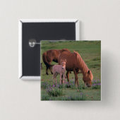 Asien, Mongolei, Wüste Gobi. Wilde Pferde Button (Vorne & Hinten)