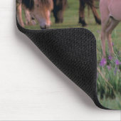 Asien, Mongolei, Wüste Gobi. Wilde Pferde Mousepad (Ecke)