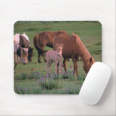 Asien, Mongolei, Wüste Gobi. Wilde Pferde Mousepad (Mit Mouse)