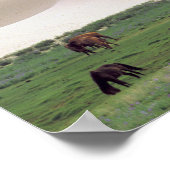 Asien, Mongolei, Wüste Gobi. Wilde Pferde. Poster (Ecke)