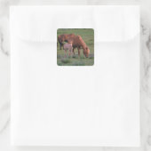 Asien, Mongolei, Wüste Gobi. Wilde Pferde Quadratischer Aufkleber (Tasche)