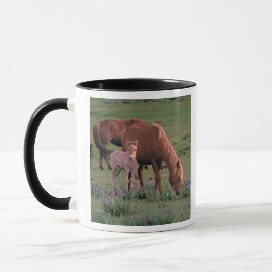 Asien, Mongolei, Wüste Gobi. Wilde Pferde Tasse (Links)