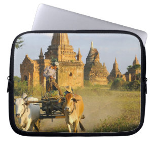 Asien, Myanmar (Birma), Bagan. Ein Karren ist Laptopschutzhülle