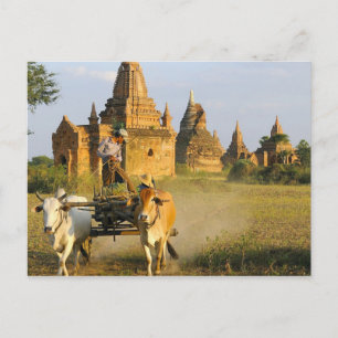 Asien, Myanmar (Birma), Bagan. Ein Karren ist Postkarte