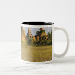 Asien, Myanmar (Birma), Bagan. Ein Karren ist Zweifarbige Tasse