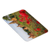 Asien, Myanmar (Birma), Bagan (Heide). A Bagan Magnet (Rechte Seite)