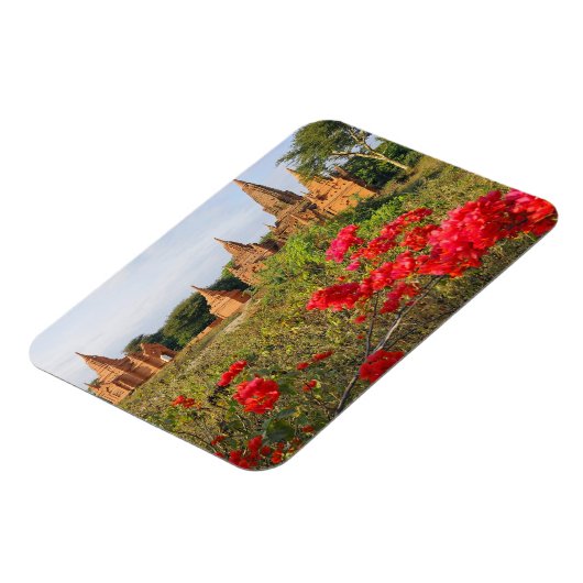 Asien, Myanmar (Birma), Bagan (Heide). A Bagan Magnet (Linke Seite)