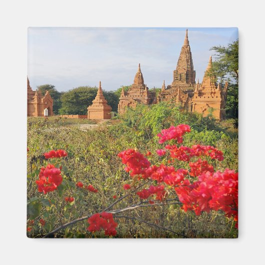 Asien, Myanmar (Birma), Bagan (Heide). A Bagan Magnet (Vorne)