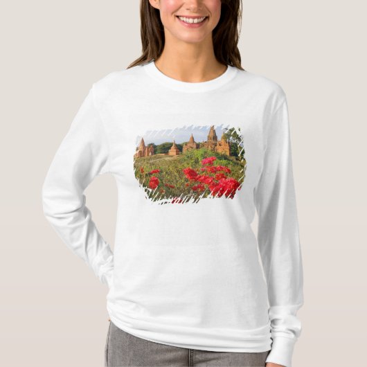 Asien, Myanmar (Birma), Bagan (Heide). Ein Bagan T-Shirt (Vorderseite)