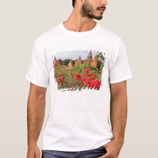 Asien, Myanmar (Birma), Bagan (Heide). Ein Bagan T-Shirt (Vorderseite)