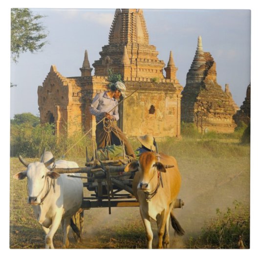 Asien, Myanmar (Birma), Bagan (Heide). Ein Wagen i Fliese (Vorderseite)