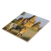 Asien, Myanmar (Birma), Bagan (Heide). Ein Wagen i Fliese (Seite)
