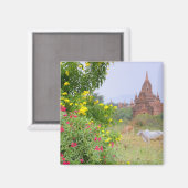 Asien, Myanmar (Birma), Bagan (Heide). Kühe Magnet (Vorderseite/Rückseite)