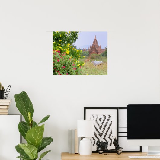 Asien, Myanmar (Birma), Bagan (Heide). Kühe Poster (Heimbüro)