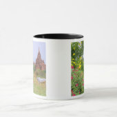 Asien, Myanmar (Birma), Bagan (Heide). Kühe Tasse (Zentrum)