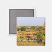 Asien, Myanmar (Birma), Bagan (Heide). Rinderpass Magnet (Vorderseite/Rückseite)