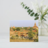 Asien, Myanmar (Birma), Bagan (Heide). Rinderpass Postkarte (Stehend Vorderseite)