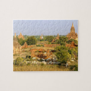 Asien, Myanmar (Birma), Bagan (Heide). Rinderpass Puzzle