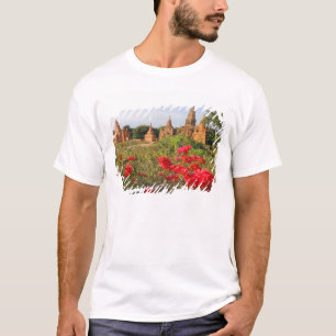 Asien, Myanmar (Birma), Bagan (Pagan). Ein Bagan T-Shirt