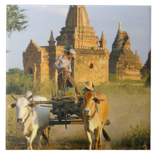 Asien, Myanmar (Birma), Bagan (Pagan). Ein Karren  Fliese