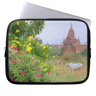 Asien, Myanmar (Burma), Bagan (Pagan). Kühe Laptopschutzhülle