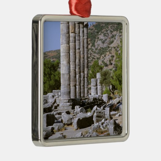 Asien, Naher Osten, Türkei, Ephesus. Tempel Silbernes Ornament (Rechts)