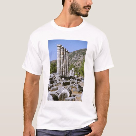 Asien, Naher Osten, Türkei, Ephesus. Tempel T-Shirt (Vorderseite)