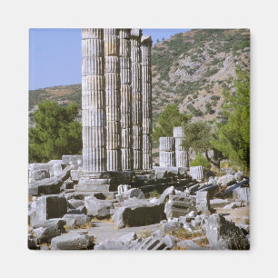 Asien, Naher Osten, Türkei, Ephesus. Tempel von Magnet