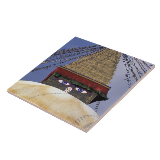 Asien, Nepal, Kathmandu. Boudhanath Stupa.2 Fliese (Seite)