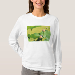 Asien, Thailand, Bangkok. Grand Palace, Lotus T-Shirt