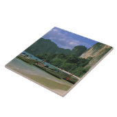 Asien, Thailand, Krabi. West Railay Beach, Fliese (Seite)