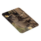 Asien, Thailand, Lampang Bowing with hat - Thai Magnet (Rechte Seite)