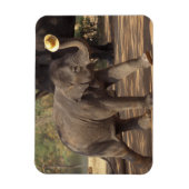 Asien, Thailand, Lampang Bowing with hat - Thai Magnet (Vertikal)