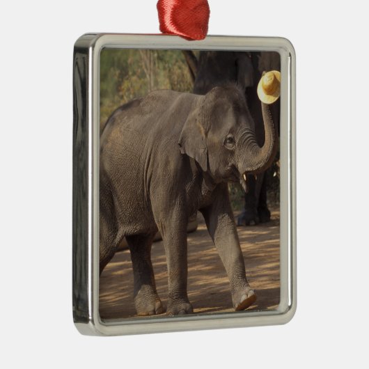 Asien, Thailand, Lampang Bowing with hat - Thai Ornament Aus Metall (Rechts)