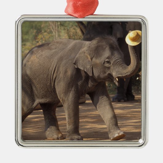 Asien, Thailand, Lampang Bowing with hat - Thai Ornament Aus Metall (Vorne)