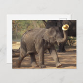 Asien, Thailand, Lampang Bowing with hat - Thai Postkarte (Vorne/Hinten)