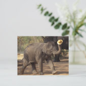 Asien, Thailand, Lampang Bowing with hat - Thai Postkarte (Stehend Vorderseite)