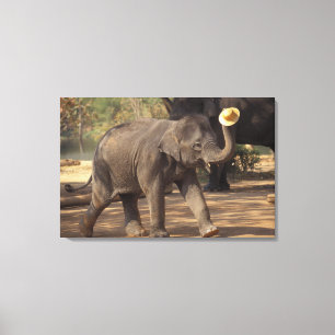Asien, Thailand, Lampang Verbeugung mit Hut - Thai Leinwanddruck